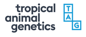 tropical animal